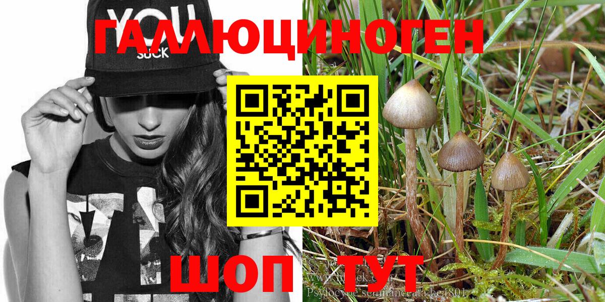 Галлюциногенные грибы мицелий  Псилоцибиновые грибы Magic Shrooms  Вход с VPN  Нальчик 